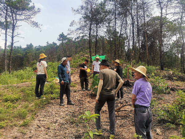 广州市规划和自然资源局花都区分局加强林木种苗监管,促进行业信用